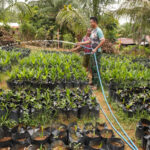 Disela Kesibukan Satgas TMMD ke 127 Melaksanakan Komsos Dengan Petani Sawit