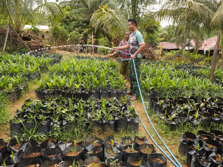 Disela Kesibukan Satgas TMMD ke 127 Melaksanakan Komsos Dengan Petani Sawit