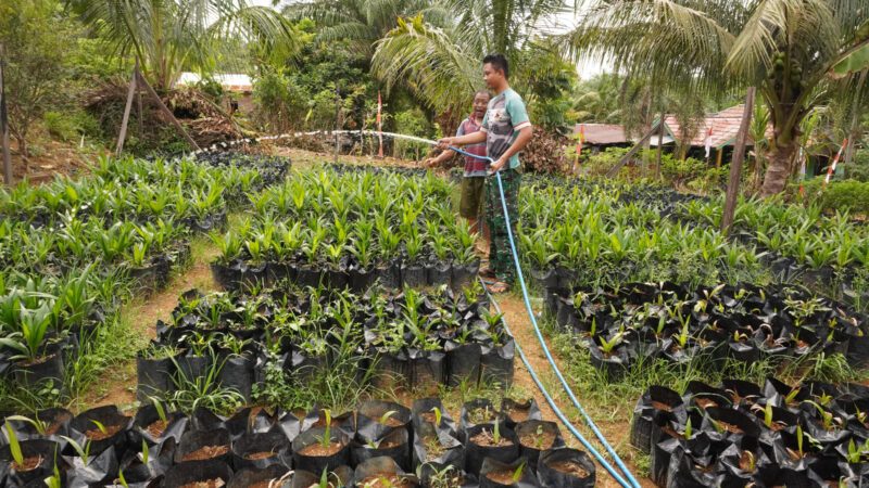 Disela Kesibukan Satgas TMMD ke 127 Melaksanakan Komsos Dengan Petani Sawit