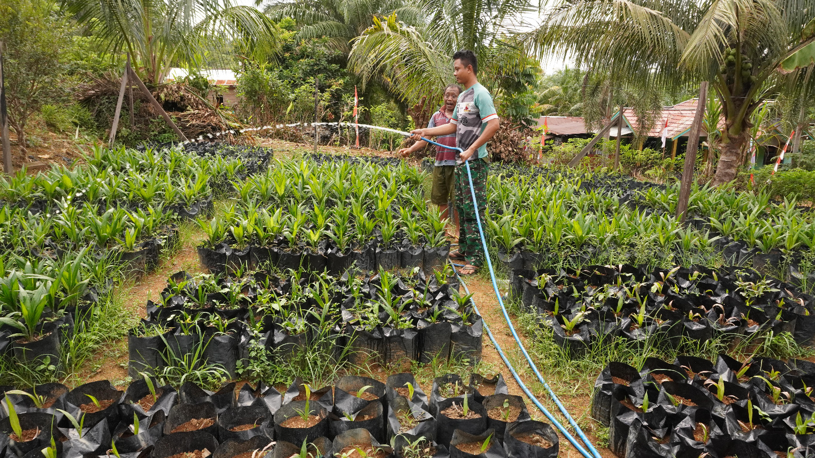 Disela Kesibukan Satgas TMMD ke 127 Melaksanakan Komsos Dengan Petani Sawit