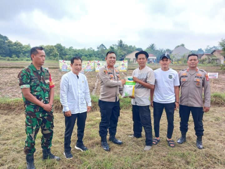Polsek Tigaraksa Laksanakan Program Ketahanan Pangan Penanaman Jagung Hibrida 1 Desa 2 Hektar di Desa Daru