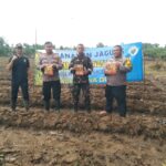 Polsek Cikupa Tanam Jagung Hibrida di Lahan 1 Hektar, Dukung Program Ketahanan Pangan Nasional