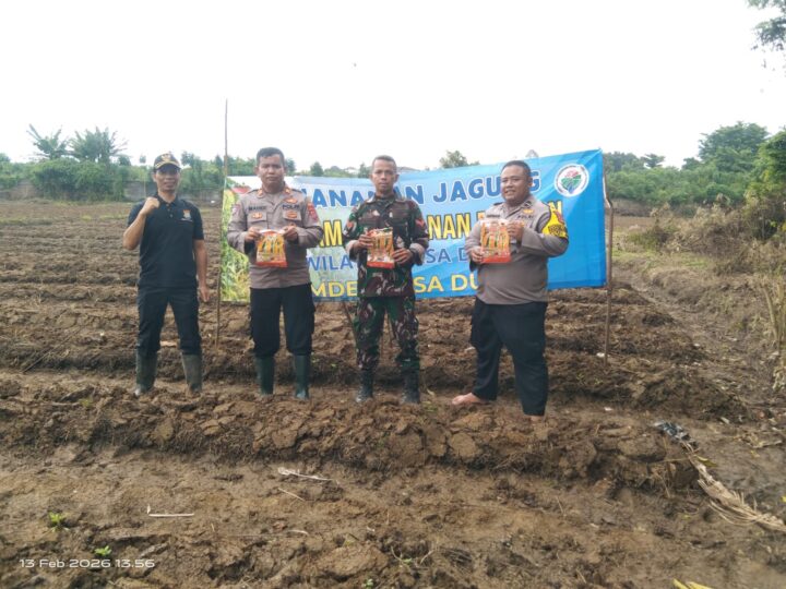 Polsek Cikupa Tanam Jagung Hibrida di Lahan 1 Hektar, Dukung Program Ketahanan Pangan Nasional