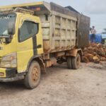 Polsek Antang Kalang Amankan Pencuri Buah Sawit di PT. Unggul Lestari.