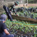 Di Sela Sela Istirahat Satgas TMMD Reguler ke-127 Kodim 1015/Sampit Komsos Dengan Petani Sayuran