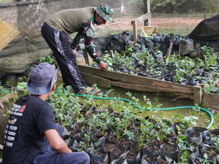 Di Sela Sela Istirahat Satgas TMMD Reguler ke-127 Kodim 1015/Sampit Komsos Dengan Petani Sayuran