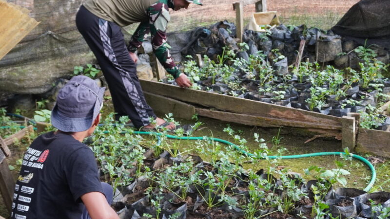 Di Sela Sela Istirahat Satgas TMMD Reguler ke-127 Kodim 1015/Sampit Komsos Dengan Petani Sayuran