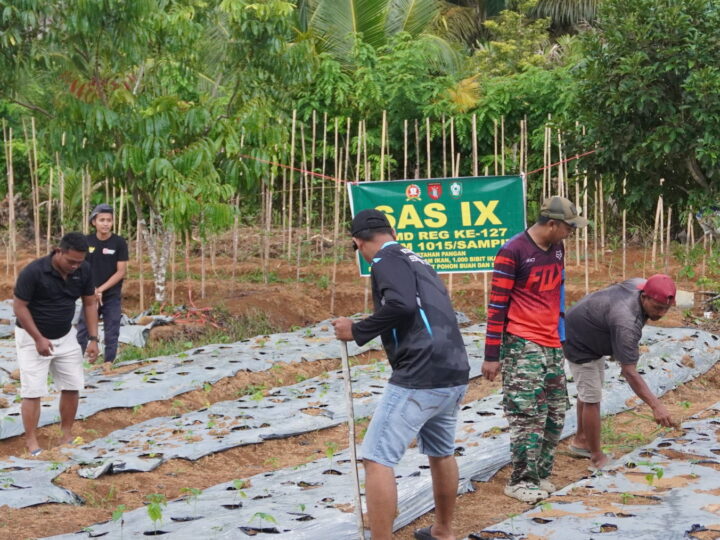 Dukung Ketahanan Pangan, Satgas TMMD Reguler ke-127 Kodim 1015/Sampit Dan Warga Tanam Sayur.