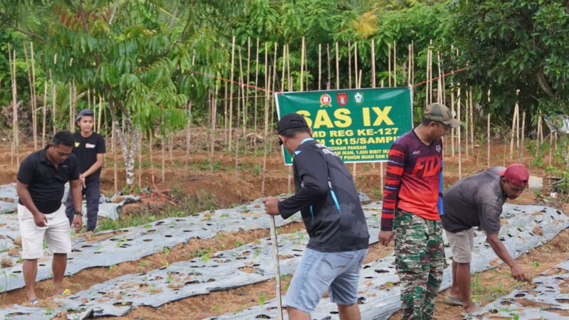 Dukung Ketahanan Pangan, Satgas TMMD Reguler ke-127 Kodim 1015/Sampit Dan Warga Tanam Sayur.