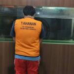 Pengedar Ganja Jaringan Gelap di Surabaya Diamankan Satresnarkoba Polrestabes Surabaya