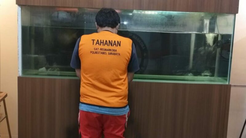 Pengedar Ganja Jaringan Gelap di Surabaya Diamankan Satresnarkoba Polrestabes Surabaya