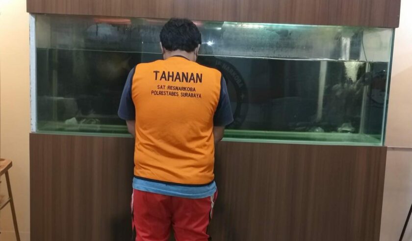 Pengedar Ganja Jaringan Gelap di Surabaya Diamankan Satresnarkoba Polrestabes Surabaya