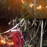 KEBAKARAN LAHAN DARI MPA KUMPAI BATU BAWAH KOTAWARINGIN BARAT