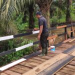 Finishing Jembatan TMMD Ke 127 Kodim 1015/Sampit, Satgas Dan Warga Percepat Akses Mobilitas