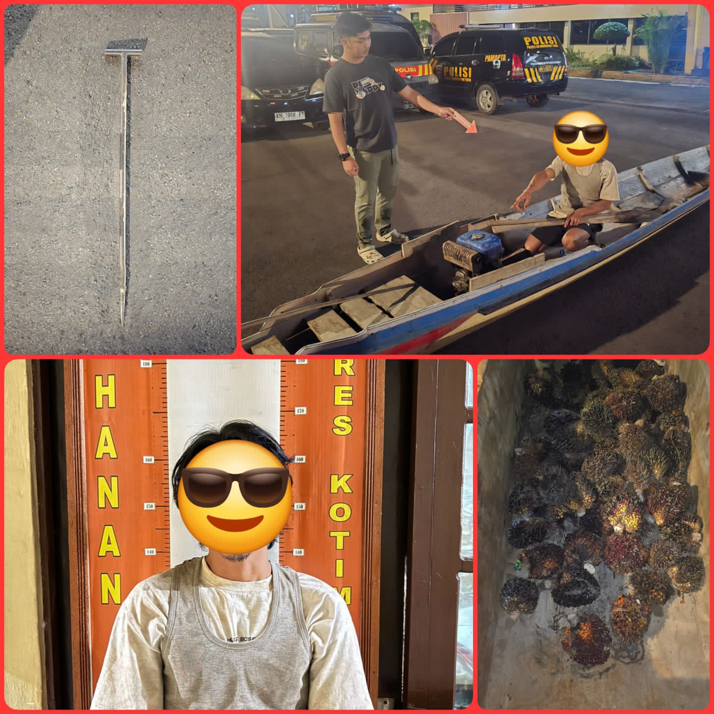 SAT RESKRIM POLRES KOTIM AMANKAN PENCURI BUAH SAWIT MENGGUNAKAN SAMPAN (KLOTOK) DI PT SKD BARBUK 69 JANJANG BUAH SAWIT.