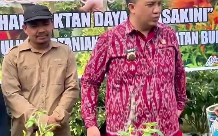 Kebutuhan Sayur Mayur di Kabupaten Lamandau Hampir 70% Masih Bergantung Dari Luar Daerah.