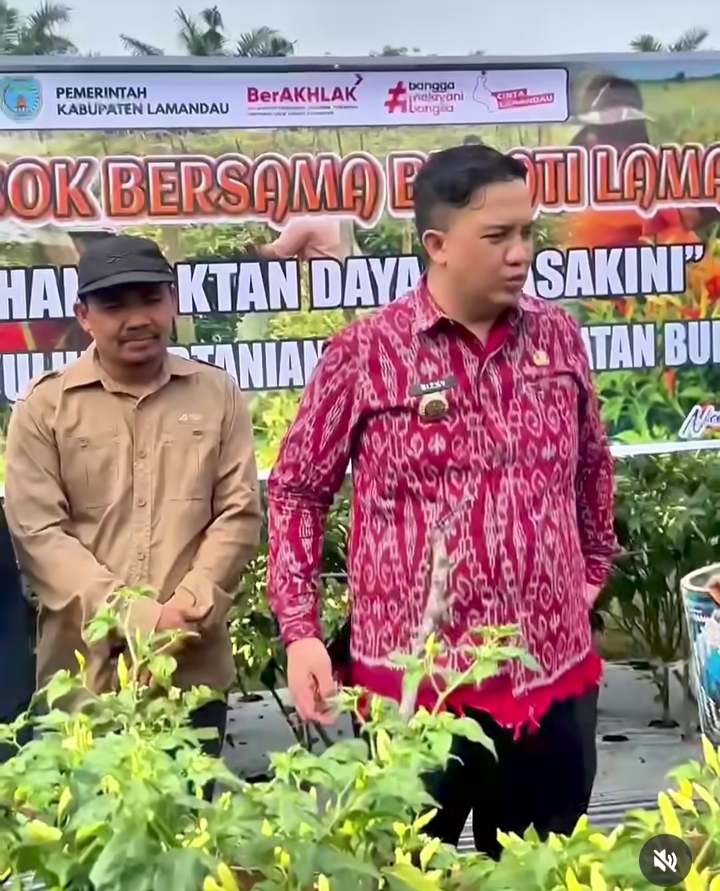Kebutuhan Sayur Mayur di Kabupaten Lamandau Hampir 70% Masih Bergantung Dari Luar Daerah.