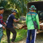 Material Kayu Telah Tiba, Satgas TMMD Ke 127 Kodim 1015/Sampit Siap Untuk Membangun Jembatan