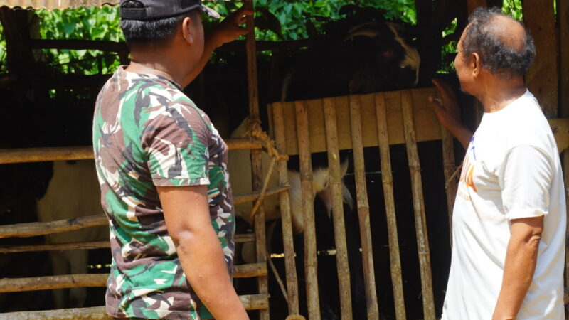 Satgas TMMD Reguler ke-127 Kodim 1015/Sampit Komsos Dengan Sutarman Peternak Kambing Desa Tri Buana