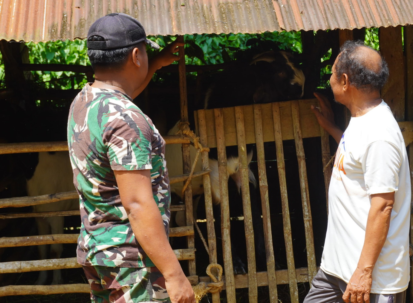Satgas TMMD Reguler ke-127 Kodim 1015/Sampit Komsos Dengan Sutarman Peternak Kambing Desa Tri Buana