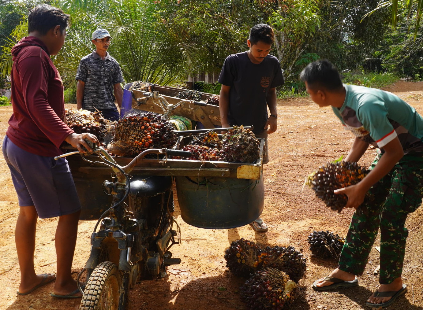 Anggota Satgas TMMD Reg Ke-127 kodim 1015/Sampit Bantu Warga Menaikan Hasil Kebun Kelapa Sawit