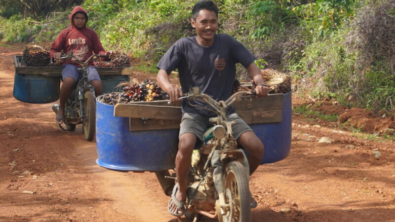 Jalan Baru Hasil Kerja Nyata Satgas TMMD Reguler ke-127 Kodim 1015/Sampit Membuat Warga Nyaman