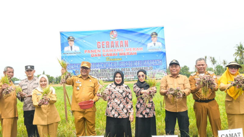 Pemkab Deli Serdang Siapkan Intervensi Pasar Jaga Stabilitas Harga & Daya Jual Petani