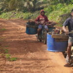 Hasil TMMD Ke 127 di Kodim 1015/Sampit Sudah Dinikmati Oleh Warga