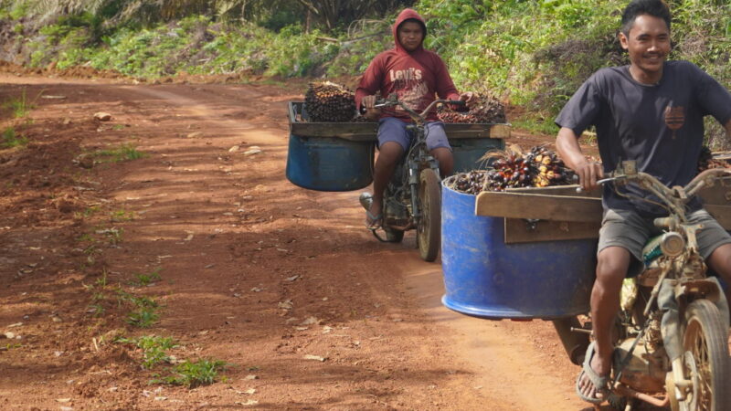 Hasil TMMD Ke 127 di Kodim 1015/Sampit Sudah Dinikmati Oleh Warga