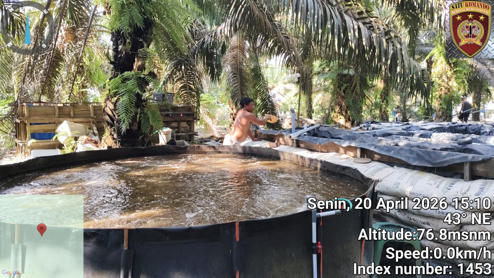 Inspiratif..! Budidaya Ikan Mas Adi S di Desa Bandar Agung Raup Omzet Rp50 Juta Per Bulan