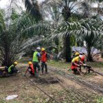 Perakitan Besi Berlanjut, Siap Untuk Pengecoran Tiang Pancang