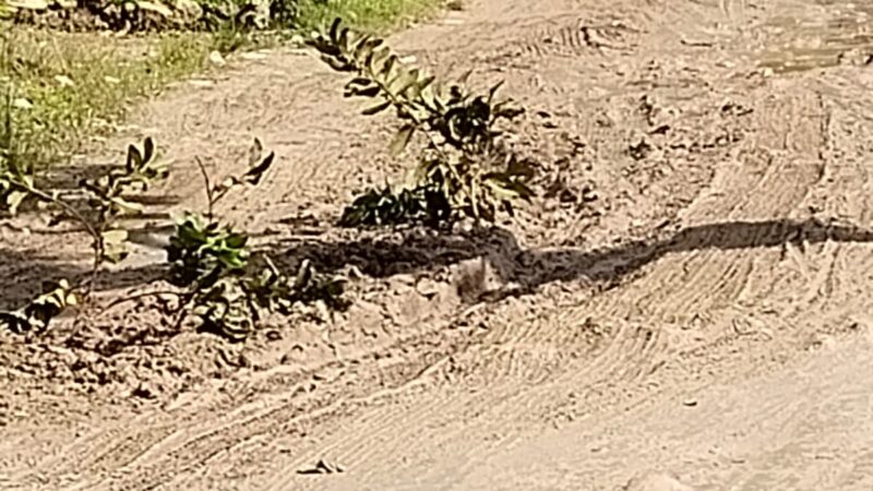 JALAN DEPAN SDN GUNUNG MADDAH 1 SAMPANG RUSAK BERAT, MENGGANGGU AKTIVITAS SEKOLAH DAN WARGA