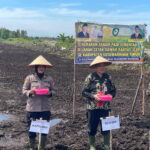 Dukung Ketahanan Pangan, Polres Kotim Ikuti Gerakan Tanam Padi Serentak di Lahan Cetak Sawah Rakyat