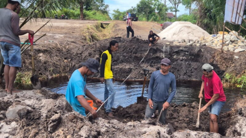 Jembatan Perintis Garuda Palangka Raya Mulai Dikerjakan
