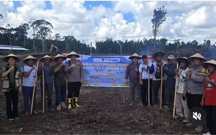 Polsek Arsel Dan Petani Tanam Serempak Jagung Hibrida Di Lahan 7 Hektar