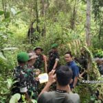 Perkuat Pertahanan di Kotim, Korem 102/Pjg Lakukan Pematokan Lahan Pembangunan Yon TP 923 Mentaya