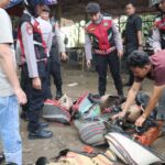Polresta Tangerang Gerebek Judi Sabung Ayam di Jayanti, Dua Orang dan 28 Unit Motor Diamankan