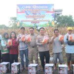 Sinergi Jaga Ketahanan Pangan, Kapolres Kotim Hadiri Panen Jagung Serentak Kuartal II di Lahan Poktan Dewi Sartika