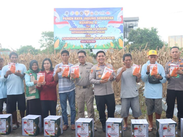 Sinergi Jaga Ketahanan Pangan, Kapolres Kotim Hadiri Panen Jagung Serentak Kuartal II di Lahan Poktan Dewi Sartika