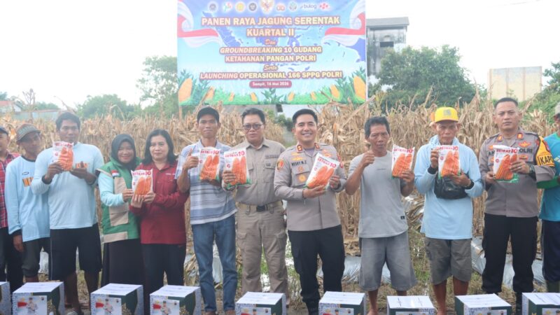 Sinergi Jaga Ketahanan Pangan, Kapolres Kotim Hadiri Panen Jagung Serentak Kuartal II di Lahan Poktan Dewi Sartika