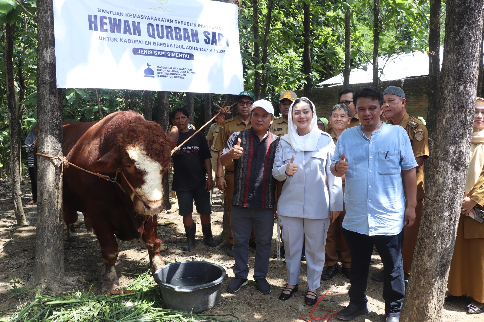 Desa Buara Brebes Terdampak Banjir Mendapatkan Bantuan Sapi Kurban dari Presiden RI