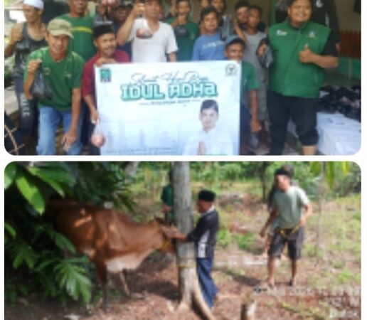 DPAC PKB TENJO GELAR PEMOTONGAN HEWAN QURBAN IDUL ADHA 1447 H