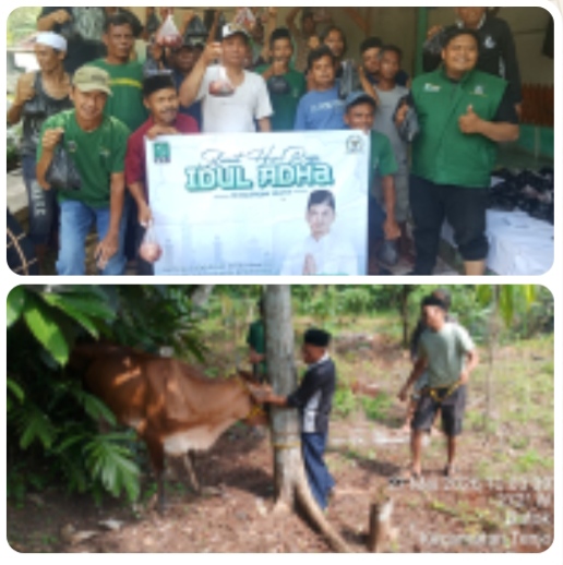 DPAC PKB TENJO GELAR PEMOTONGAN HEWAN QURBAN IDUL ADHA 1447 H