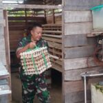Dukung Ketahanan Pangan, Anggota Koramil 1016-01/Pahandut Pelihara Ayam Petelur