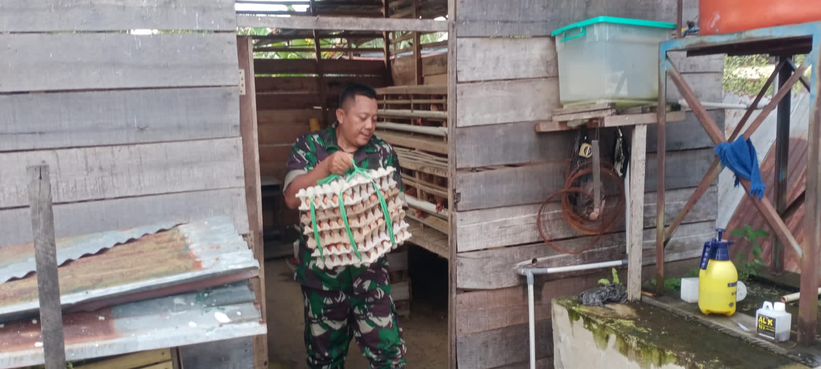 Dukung Ketahanan Pangan, Anggota Koramil 1016-01/Pahandut Pelihara Ayam Petelur