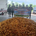Dukung Program Asta Cita, Polsek Telawang Sukses Panen Jagung di Lahan Warga Desa Penyang