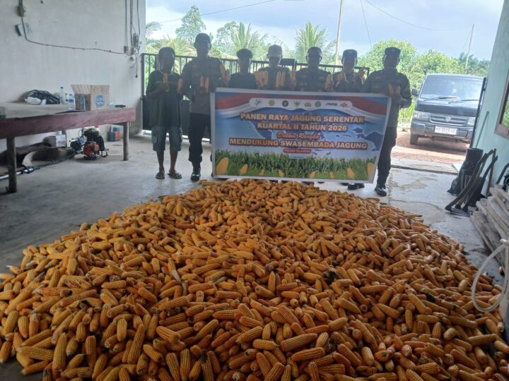 Dukung Program Asta Cita, Polsek Telawang Sukses Panen Jagung di Lahan Warga Desa Penyang