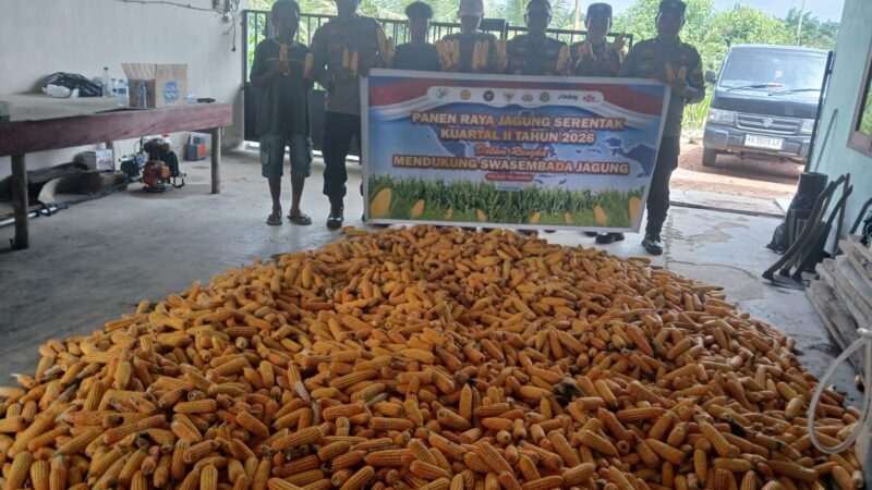 Dukung Program Asta Cita, Polsek Telawang Sukses Panen Jagung di Lahan Warga Desa Penyang