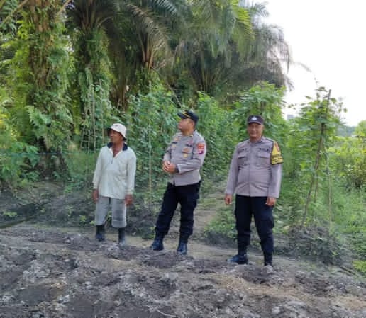 Kapolsek Kumai Aiptu Lilik Kurniawan Mewujudkan Dukungan Polri Pada Ketahanan Pangan Tanam Jagung Hibrida