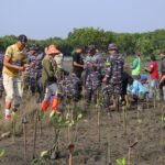 Untuk Mencegah Abrasi, Pemkab Brebes Tanam 3.700 Mangrove di Desa Randusanga Kulon Kecamatan Brebes